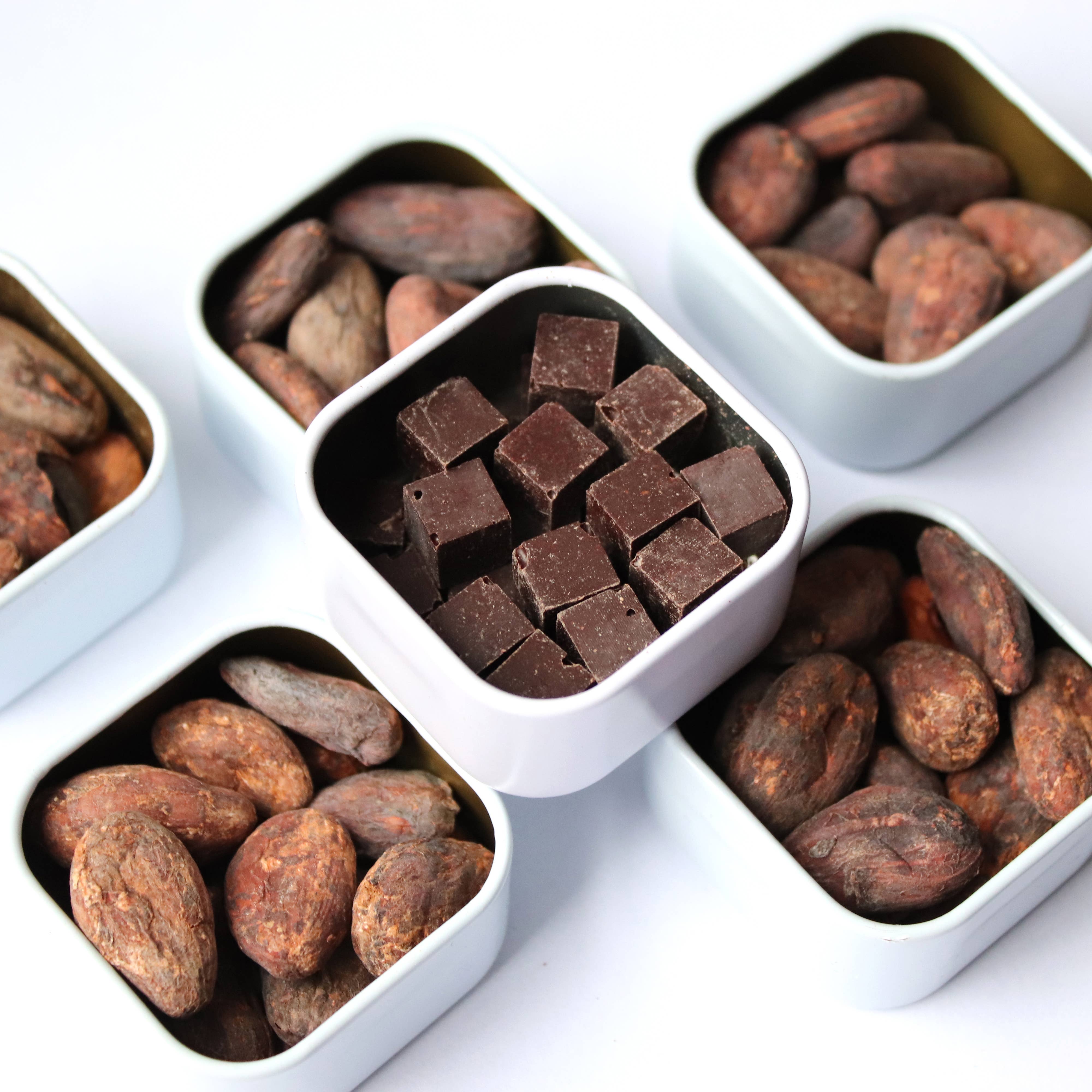 Seligo - Wholesale Chocolate Bar - 70% Unrefined Dark Chocolate Cubes Red Chili Pepper2