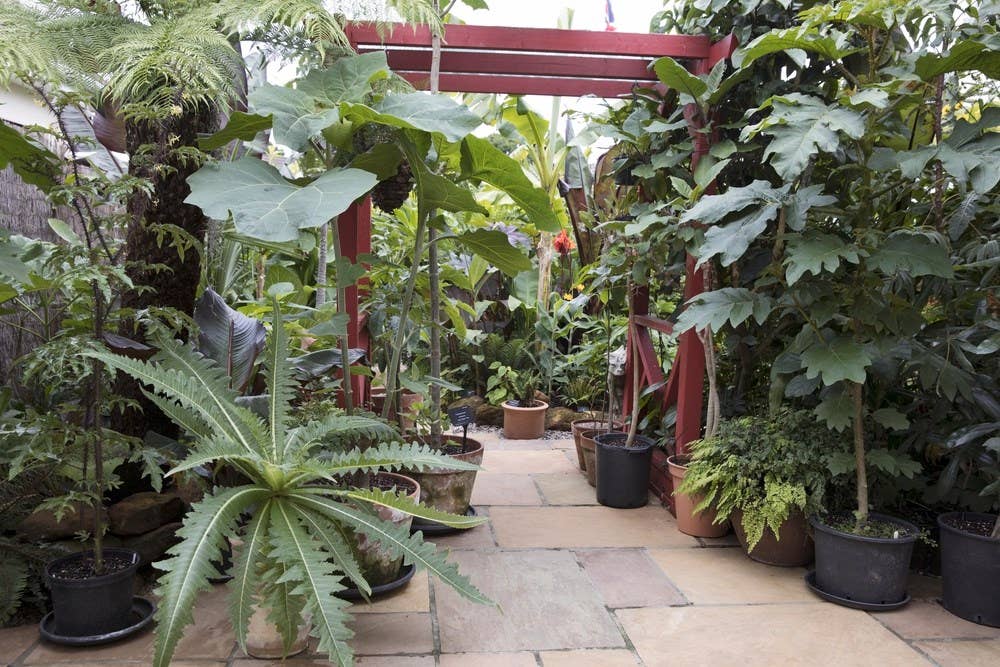 Independent Publishers Group - Wholesale Home & Garden - Jungle Garden1