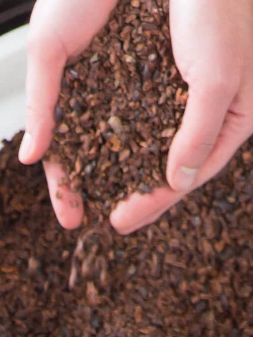 Fèves de cacao biologiques en vrac - Haïti (1 lb) pour la vente par Ethereal Confections