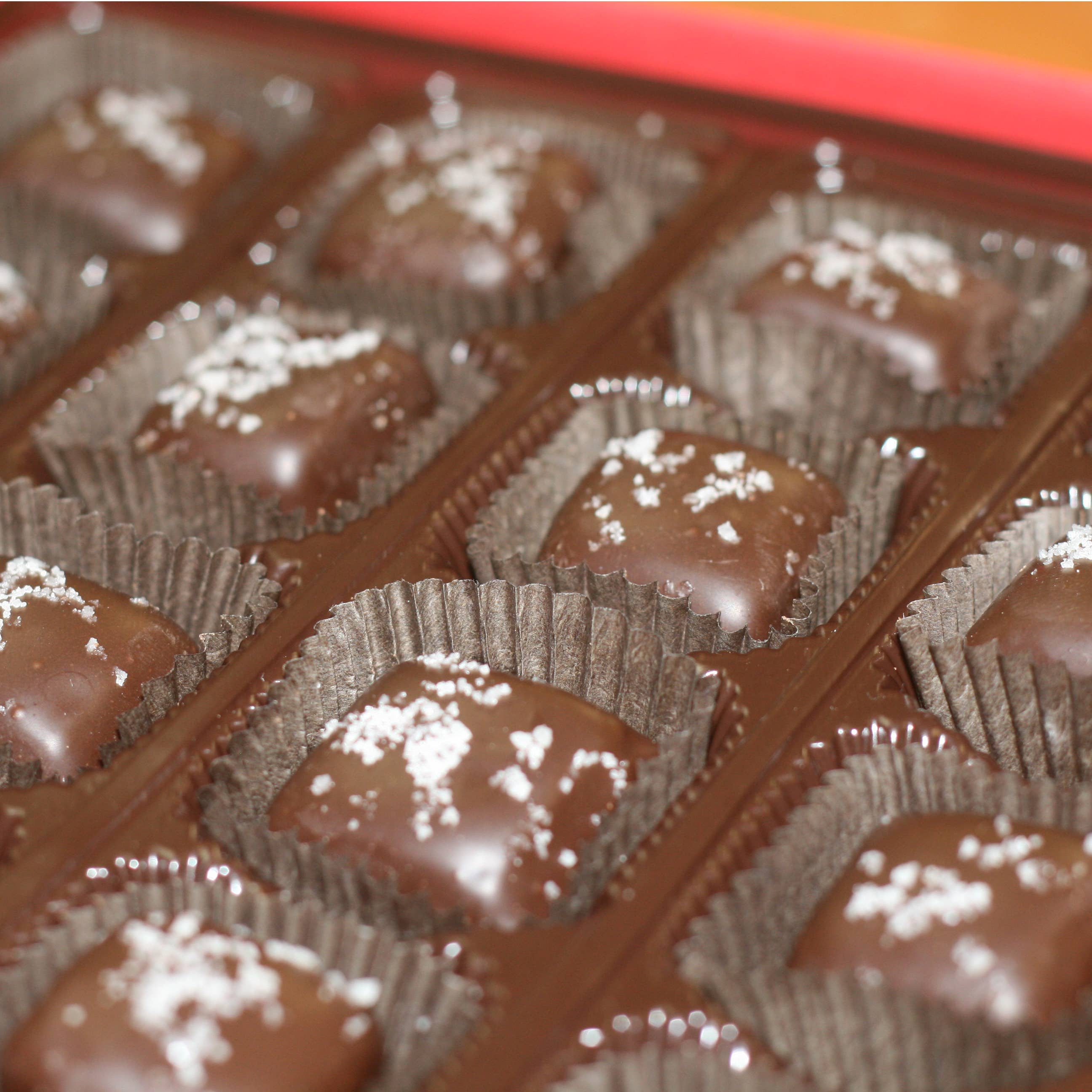 World Wide Gourmet Foods, Inc. - Wholesale Chocolate Box - 9-Piece Dark Chocolate Sea Salt Caramels3