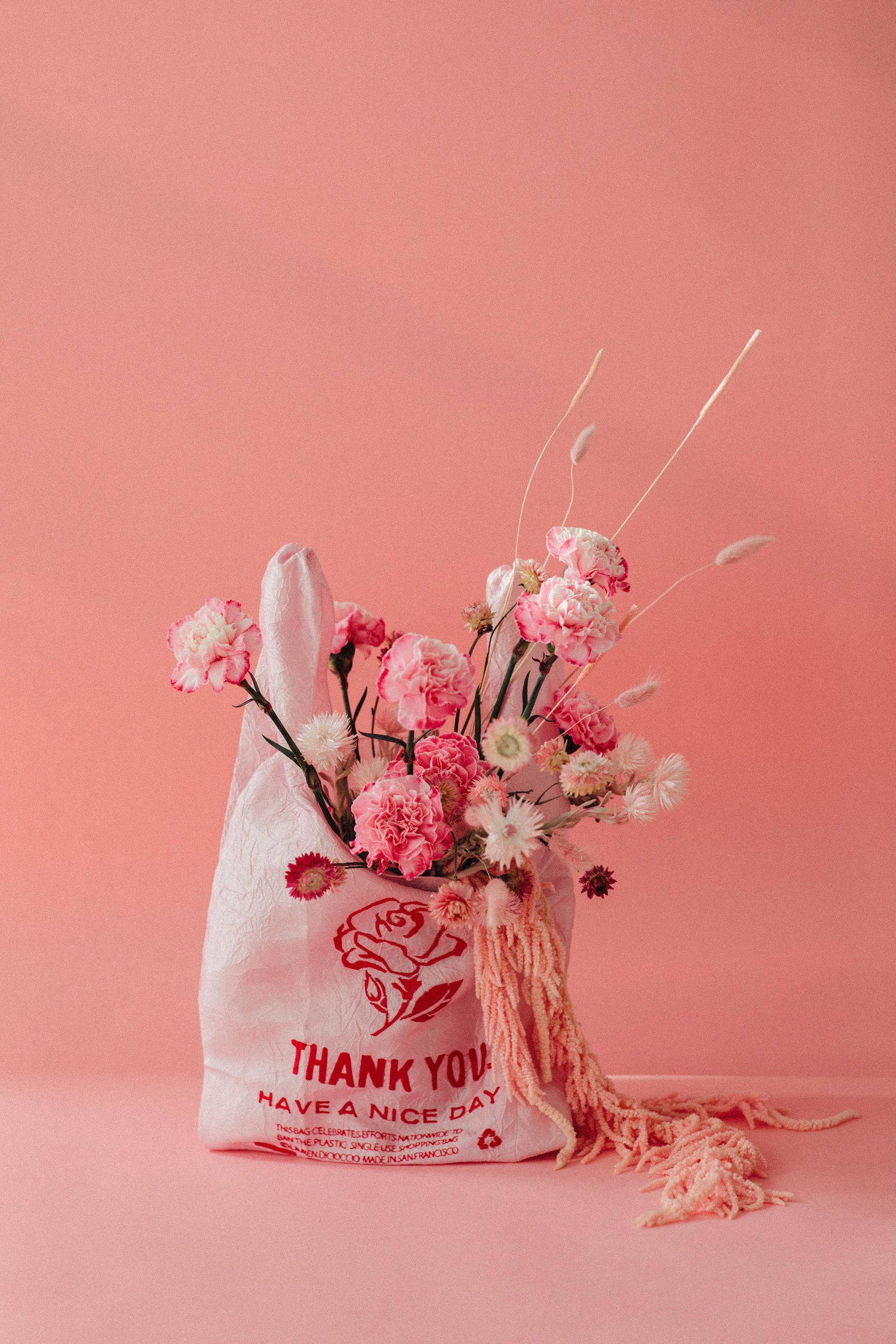 OPEN EDITIONS - Wholesale Grocery/Shopping Bag - Thank You Tote // Rose on Pink // Lauren DiCioccio16