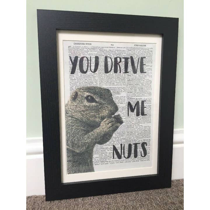 Squirrel Dictionary Quote - Pun Print - Animal Wall Art for wholesale by Parksmoonprints