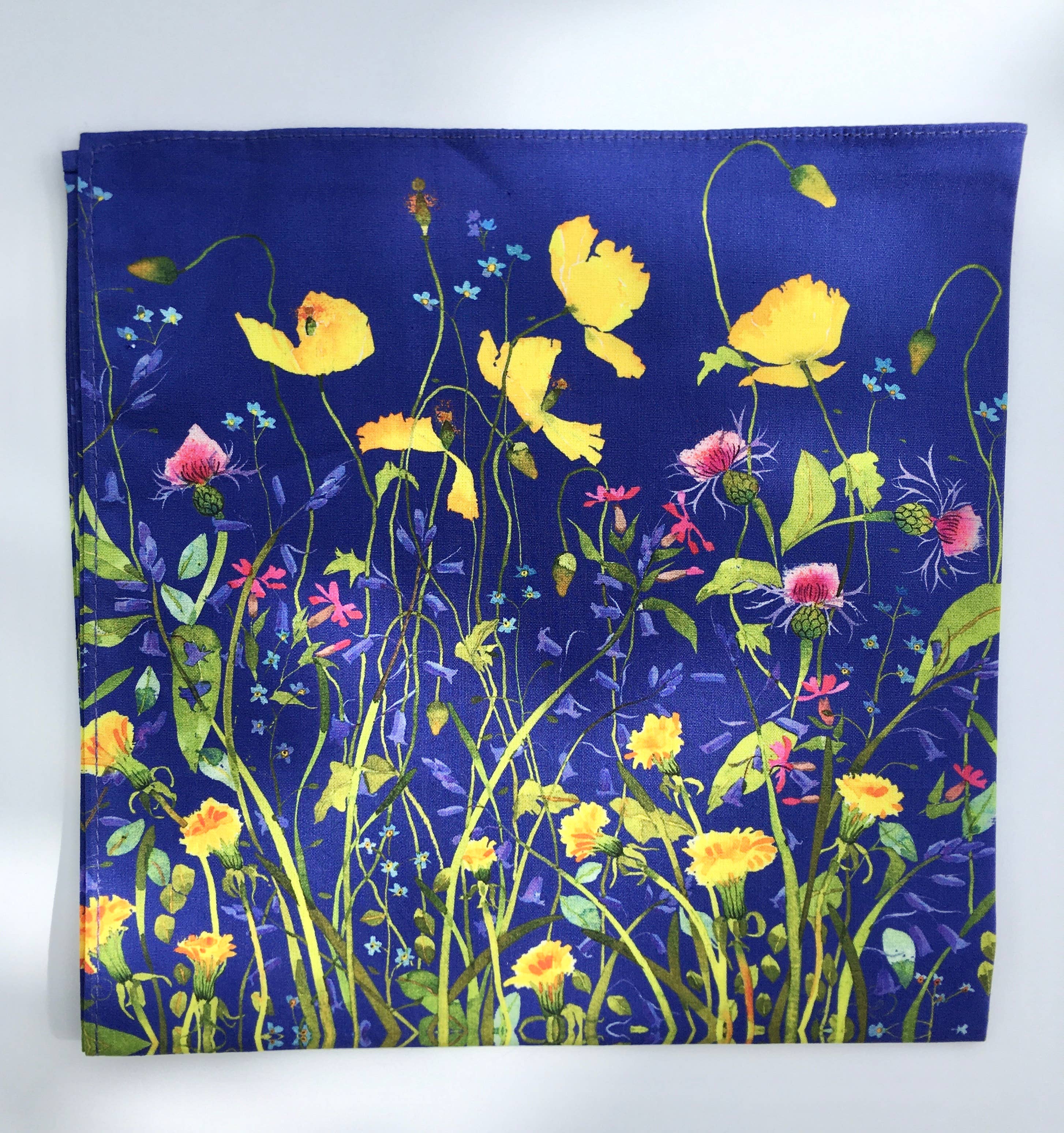 Mary Ann Rogers Gallery - Vendita all'ingrosso Fazzoletto - Donna - Fazzoletti in cotone biologico in scatola mista 5 pezzi5