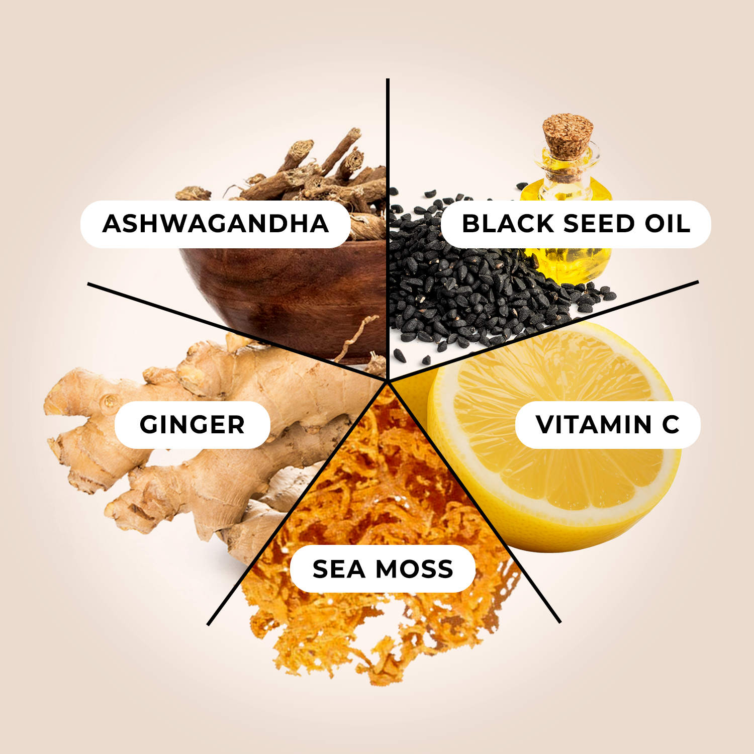 TrueSeaMoss - Wholesale Oral Supplement/Vitamin - 5in1 SEA MOSS GEL 6