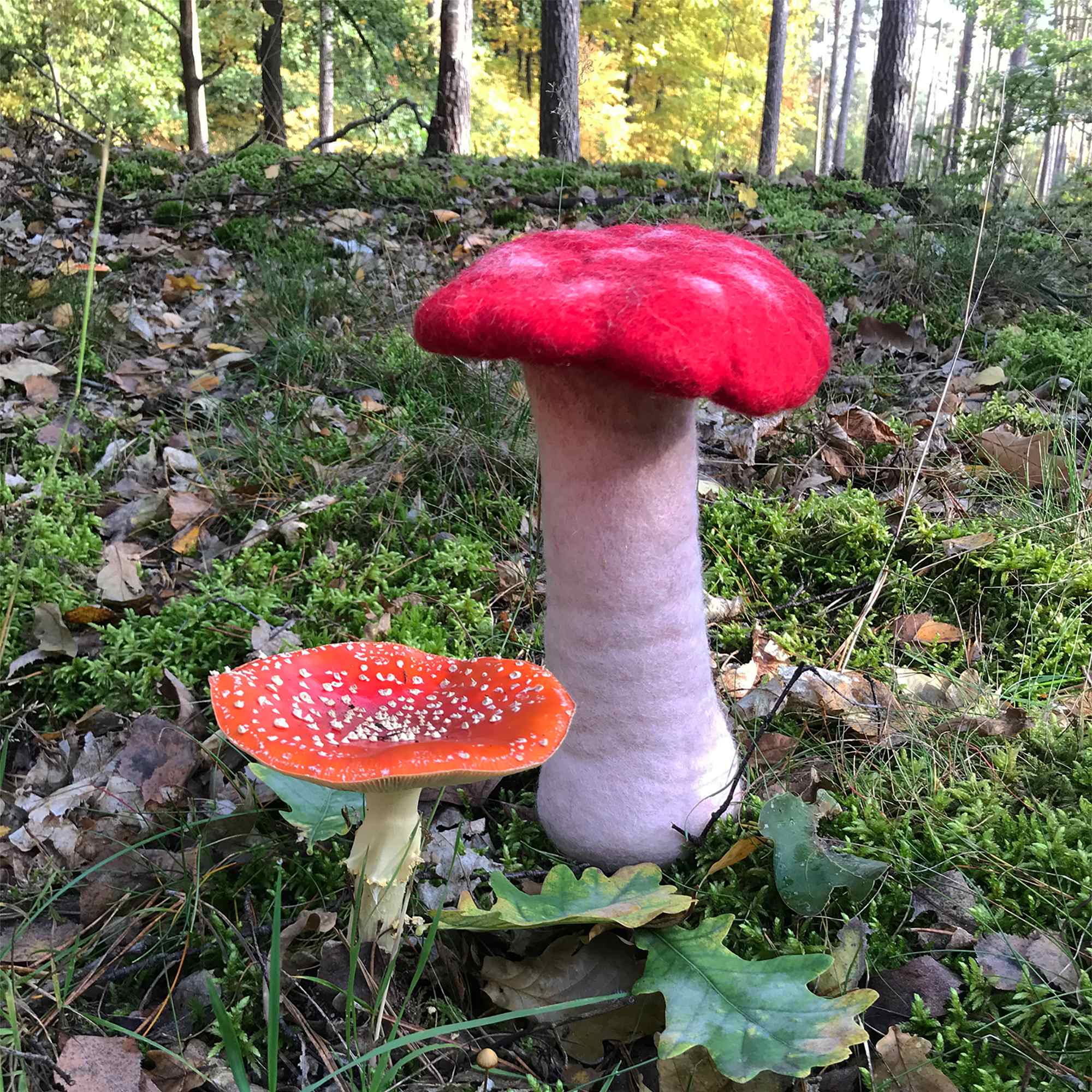 Tribal Trade GmbH - Vendita all'ingrosso Statuette decorative - Fungo amanita muscaria in feltro rosso, disponibile in 3 dimensioni23