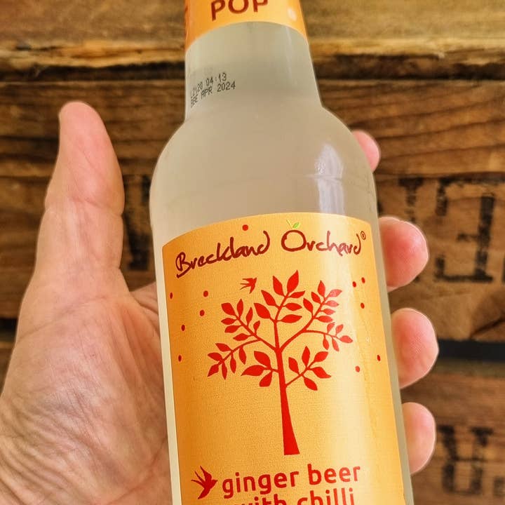 Ginger Beer with Chilli Posh Pop 12 x 275ml and other Purchase wholesale ginger beer. Free returns & net 60 terms on Faire trending on Faire.
