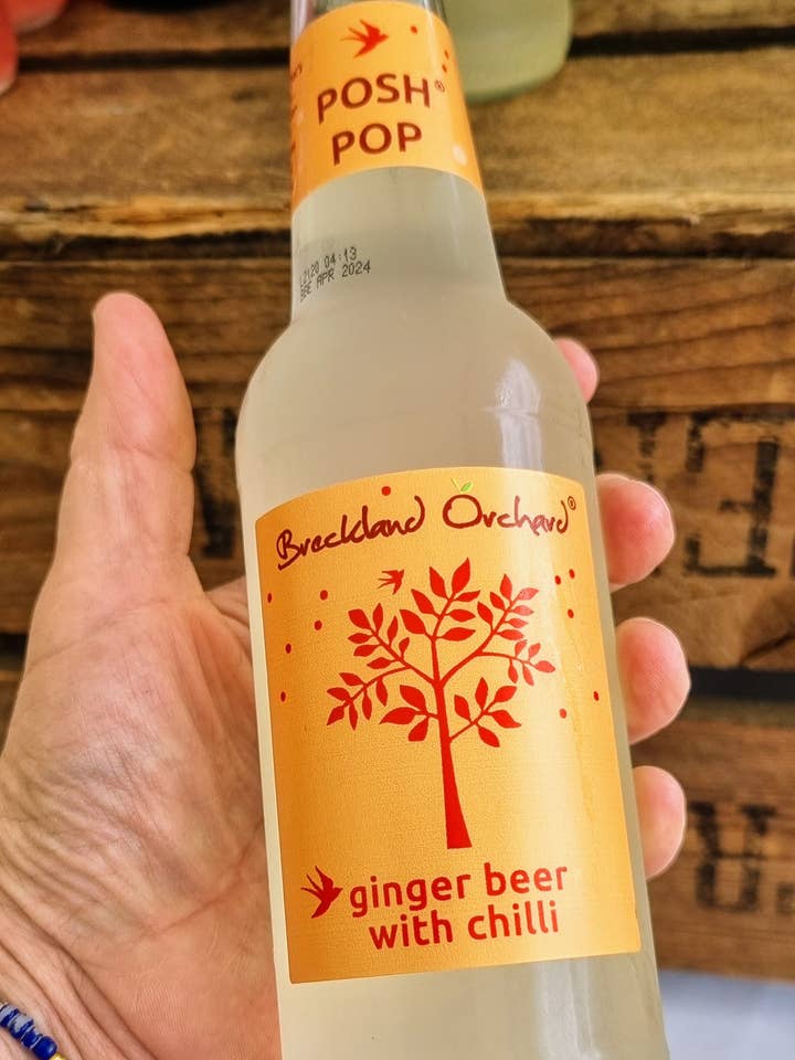 Ginger Beer with Chilli Posh Pop 12 x 275ml for wholesale by Breckland Orchard