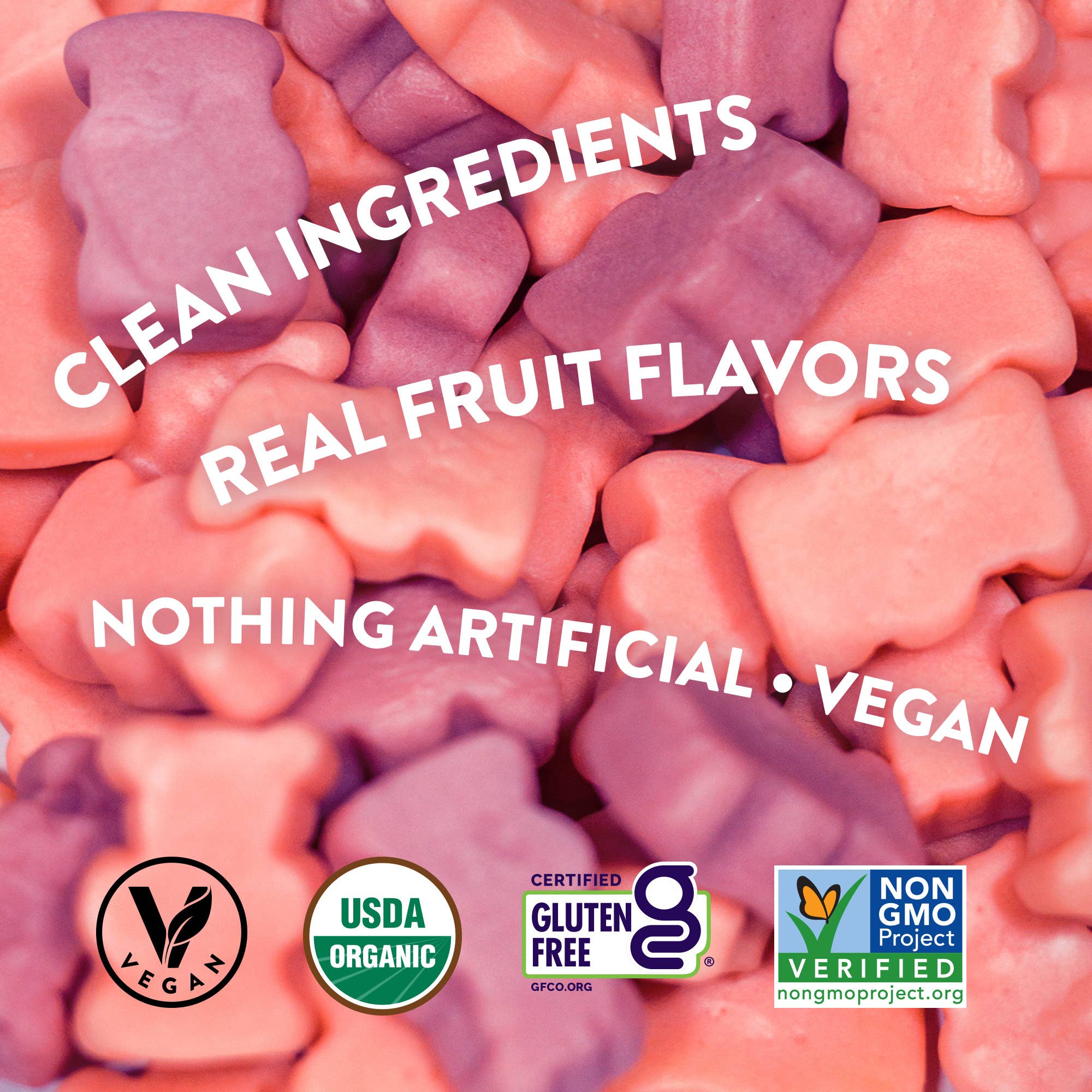 Candy People USA - Wholesale Gummy - Vegobears - Malibu 3.5oz. (10 Pack) Organic Gummy Bears5