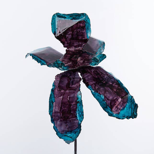 Purple groenblauw orchidee voor wholesale door Bobbianne's Flowers