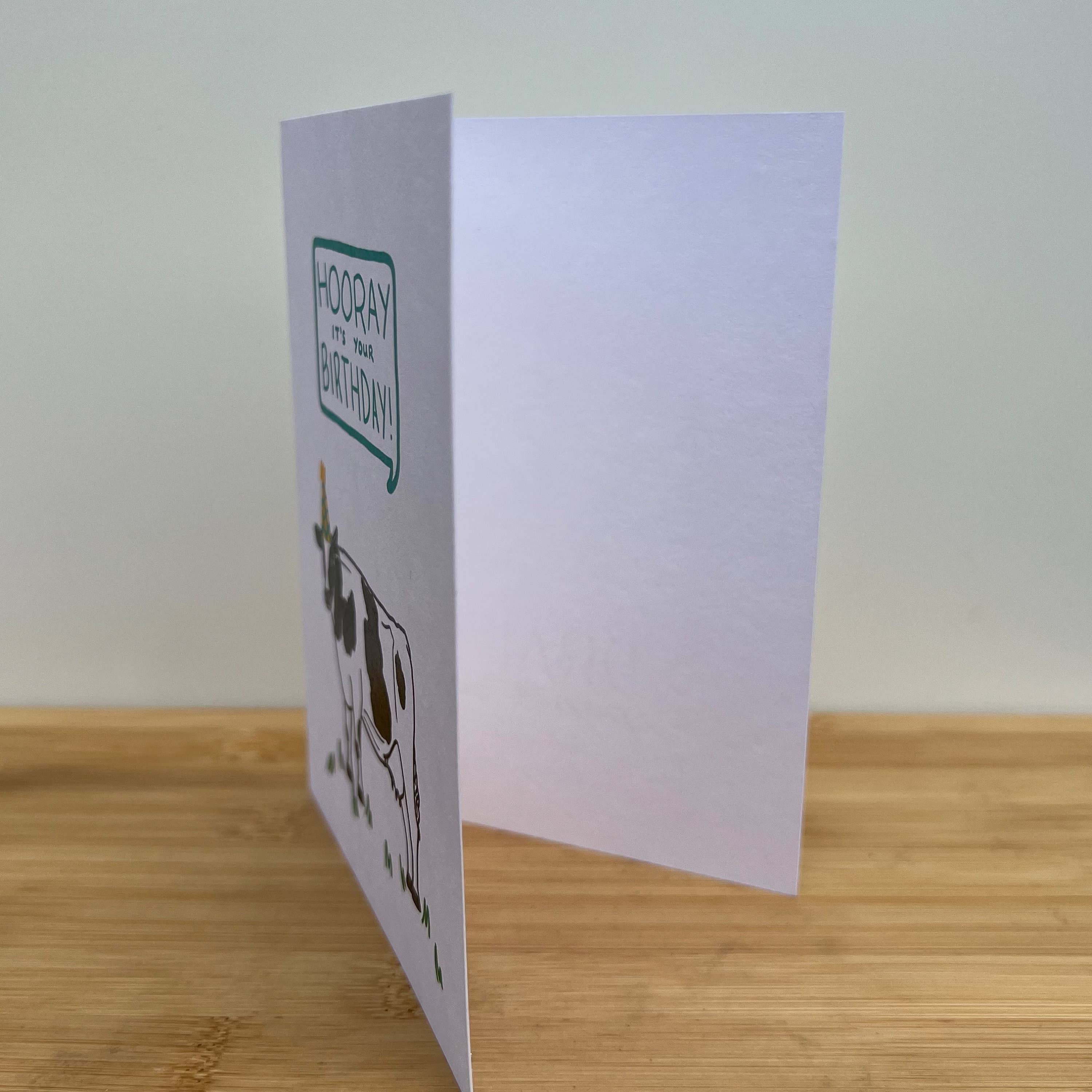 Draft Paper Co. - Wholesale Birthday Card - Greeting Card • Hooray It’s Your Birthday! Cow1