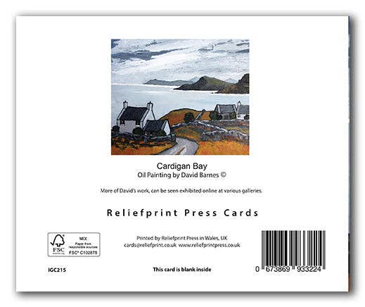 Cardiau Nico Cards – wholesale Everyday greeting card – IGC215 Cardigan Bay - David Barnes1