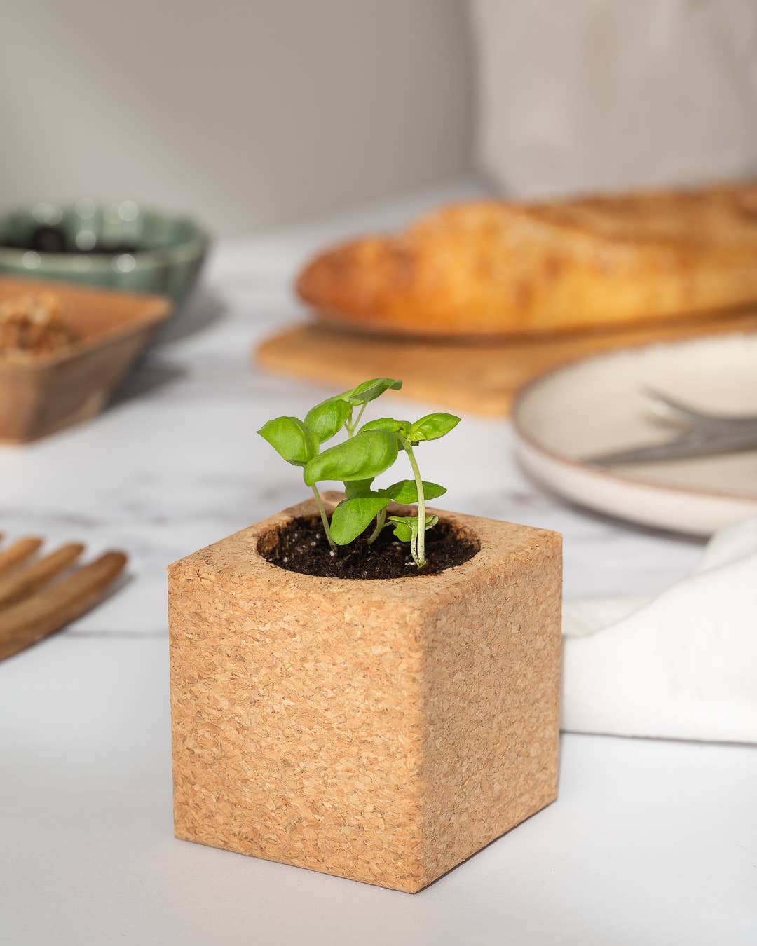 Life in a bag - Wholesale Plant Pot - Grow Cube Basil1