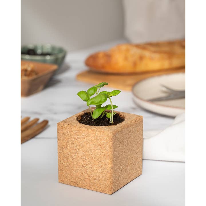 Life in a bag - Wholesale Plant Pot - Grow Cube Basil1