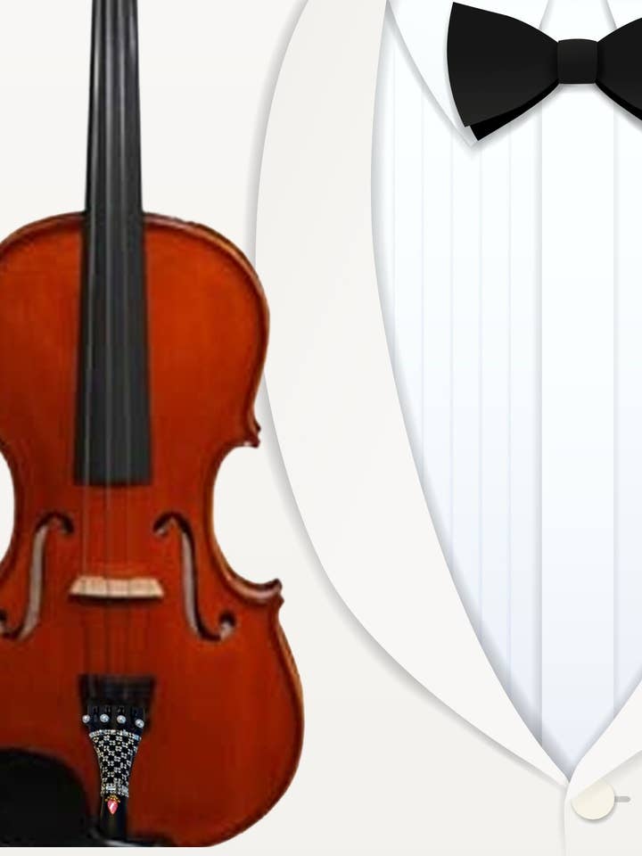 Lumina Schüler-Geigenset (Smoking) für den Großhandel von Rozanna's Violin