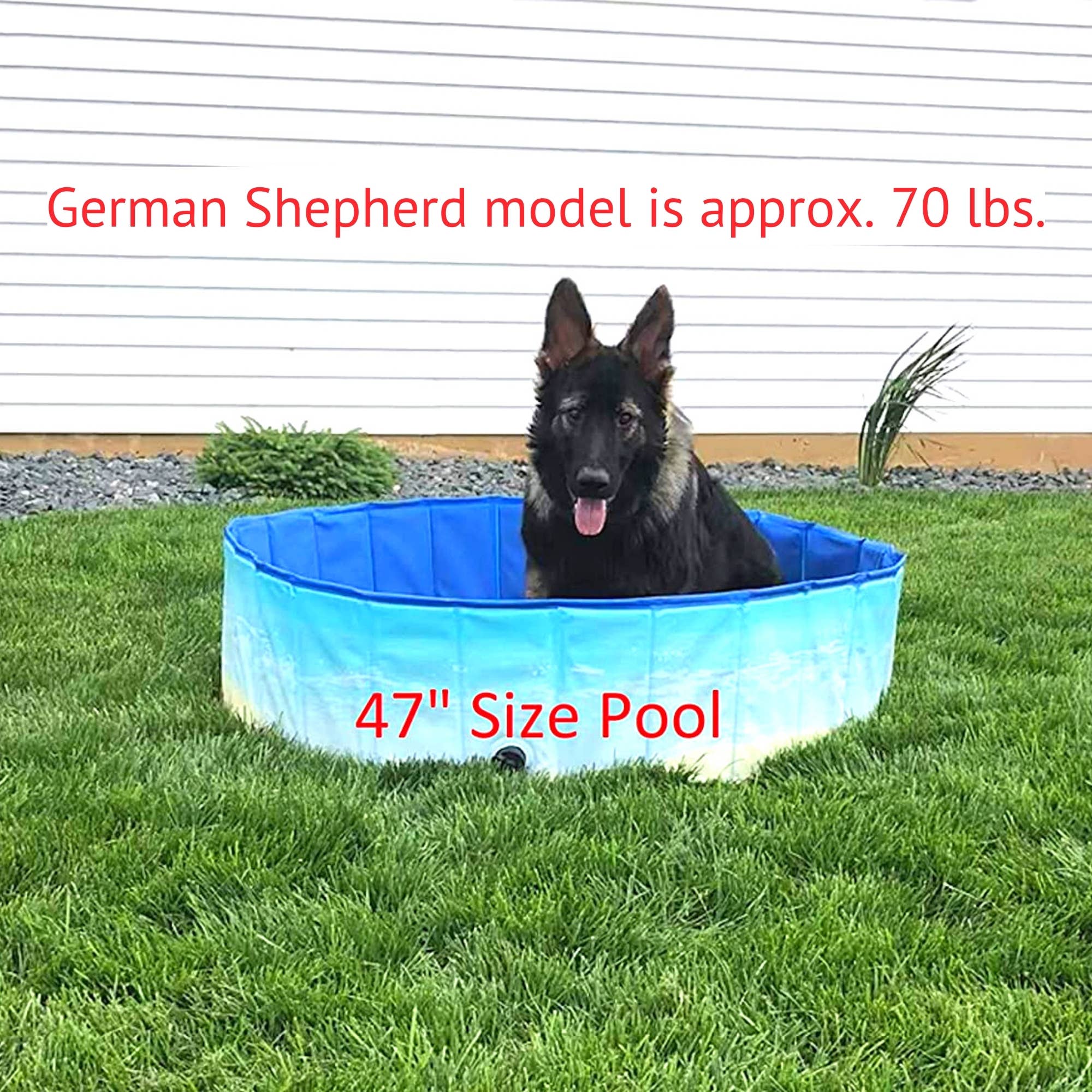 Midlee Designs - Wholesale Pet Bowl - Cat/Dog - Midlee Dog Pool -Foldable & Portable Outdoor Bathing Tub5