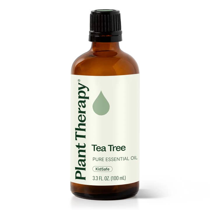 Tea Tree Essential Oil 100 mL for wholesale by Plant Therapy