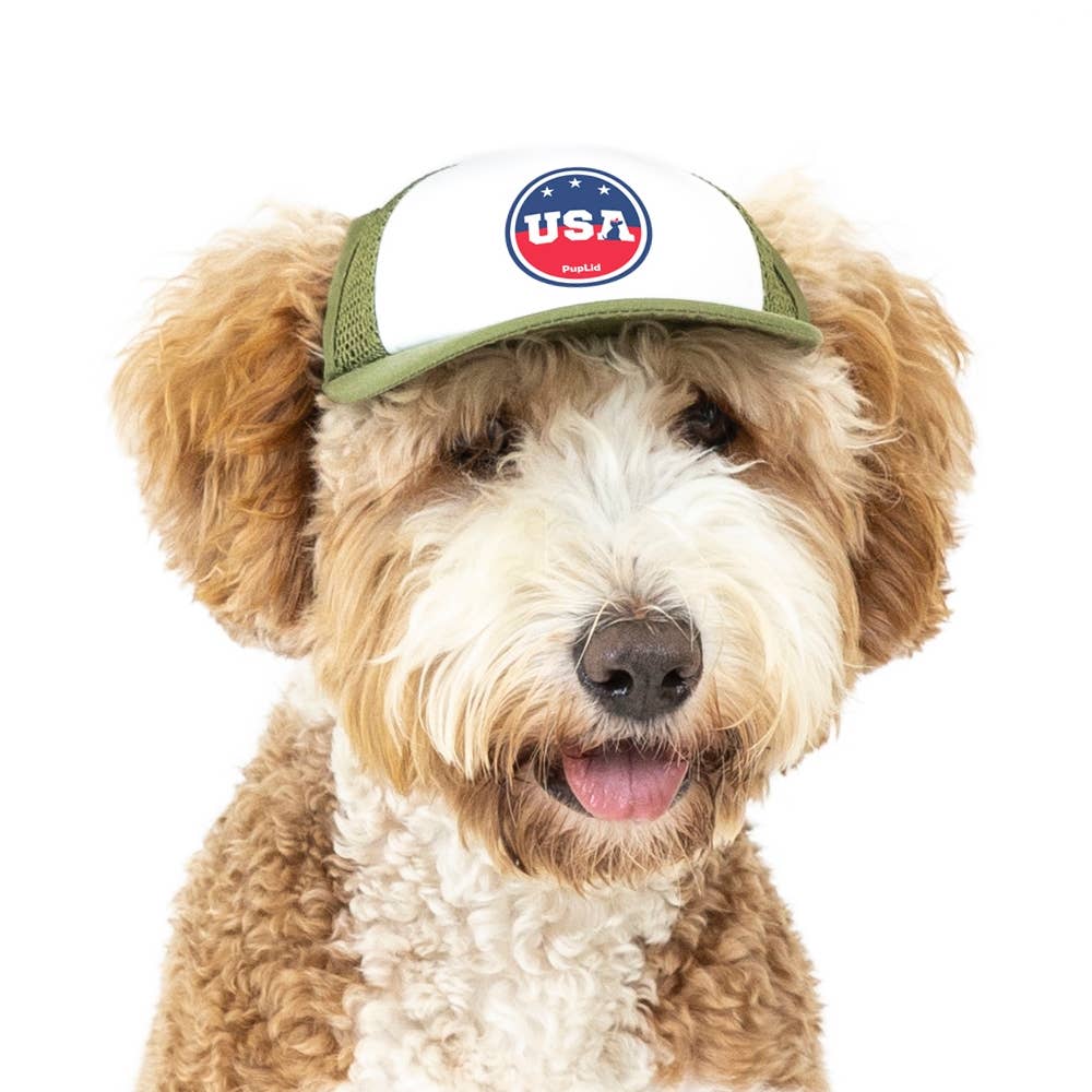 PupLid – wholesale Hatt - Hund – USA Stars Design l Truckerhatt för hundar13
