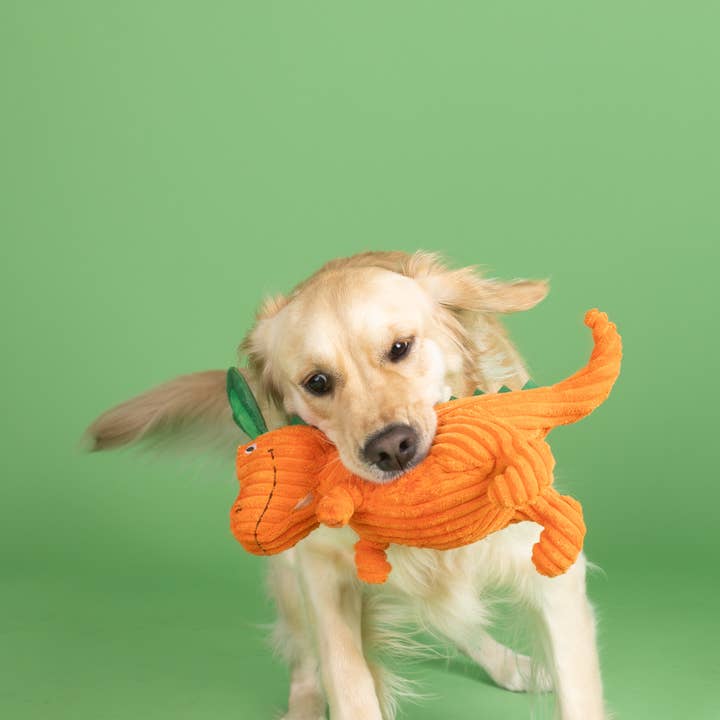 Petshop by Fringe Studio - Wholesale Pet Plush Toy - Dog - CARROT BOUT YOU PLUSH DOG TOY