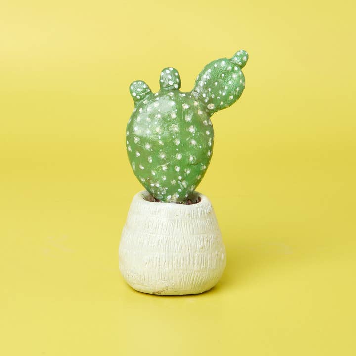 Pott'd – wholesale DIY craft kit – Succulent Sculptures7