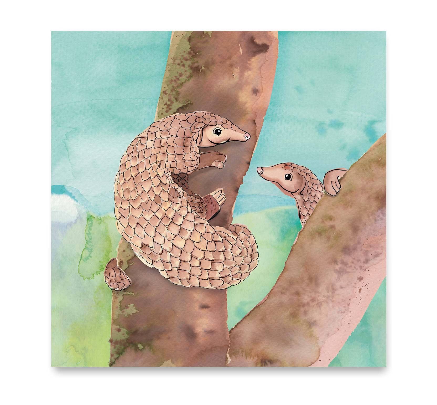 Mags - Vendita all'ingrosso Biglietti di auguri generici - M0074 - Pangolino0