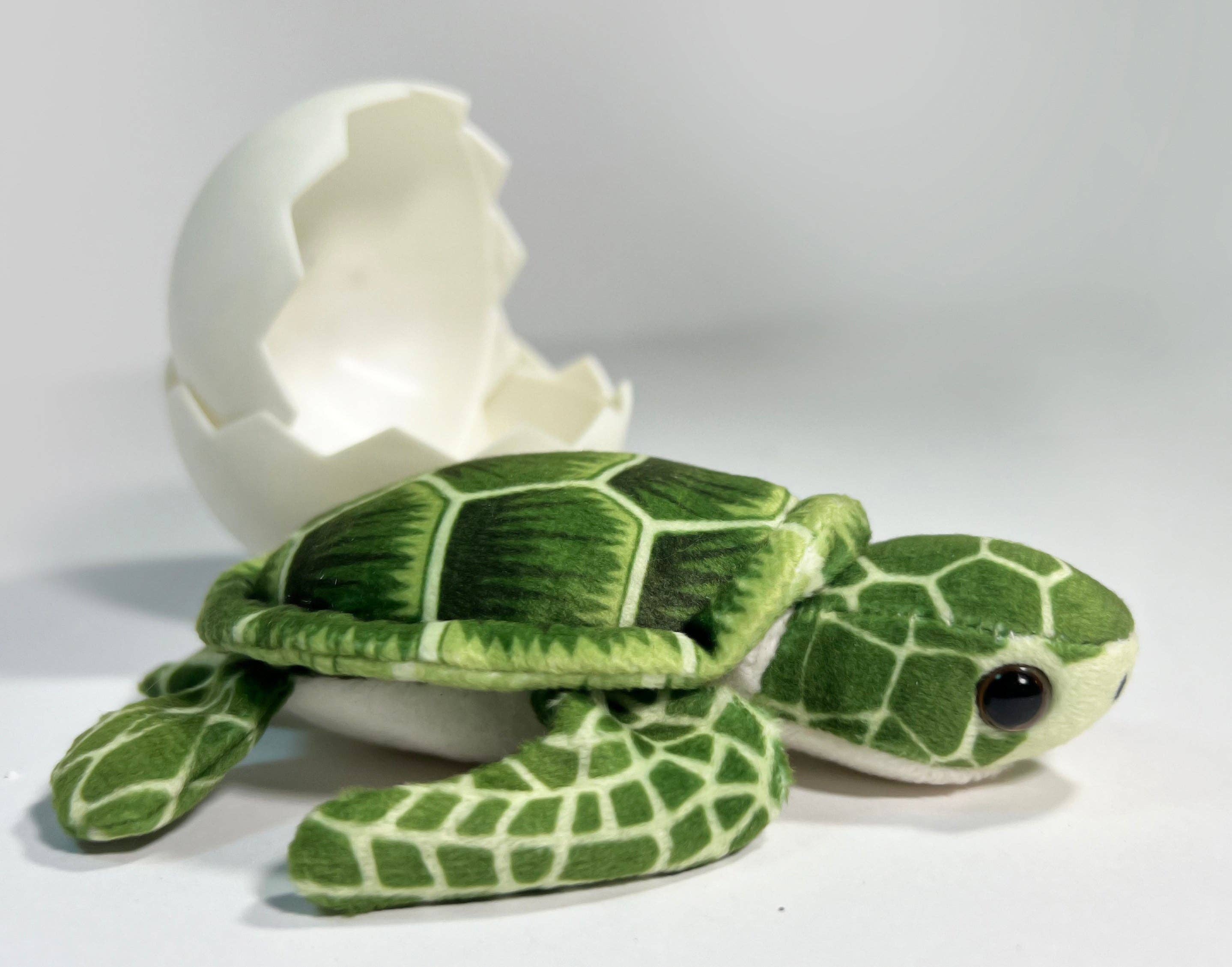 Call For The Wild - Wholesale Retailer Display - Kids & Baby - Sea Turtle Hatchling Point of Sale Display4