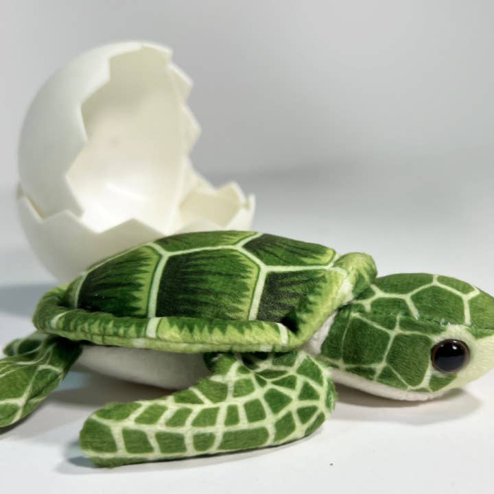 Call For The Wild - Wholesale Retailer Display - Kids & Baby - Sea Turtle Hatchling Point of Sale Display4