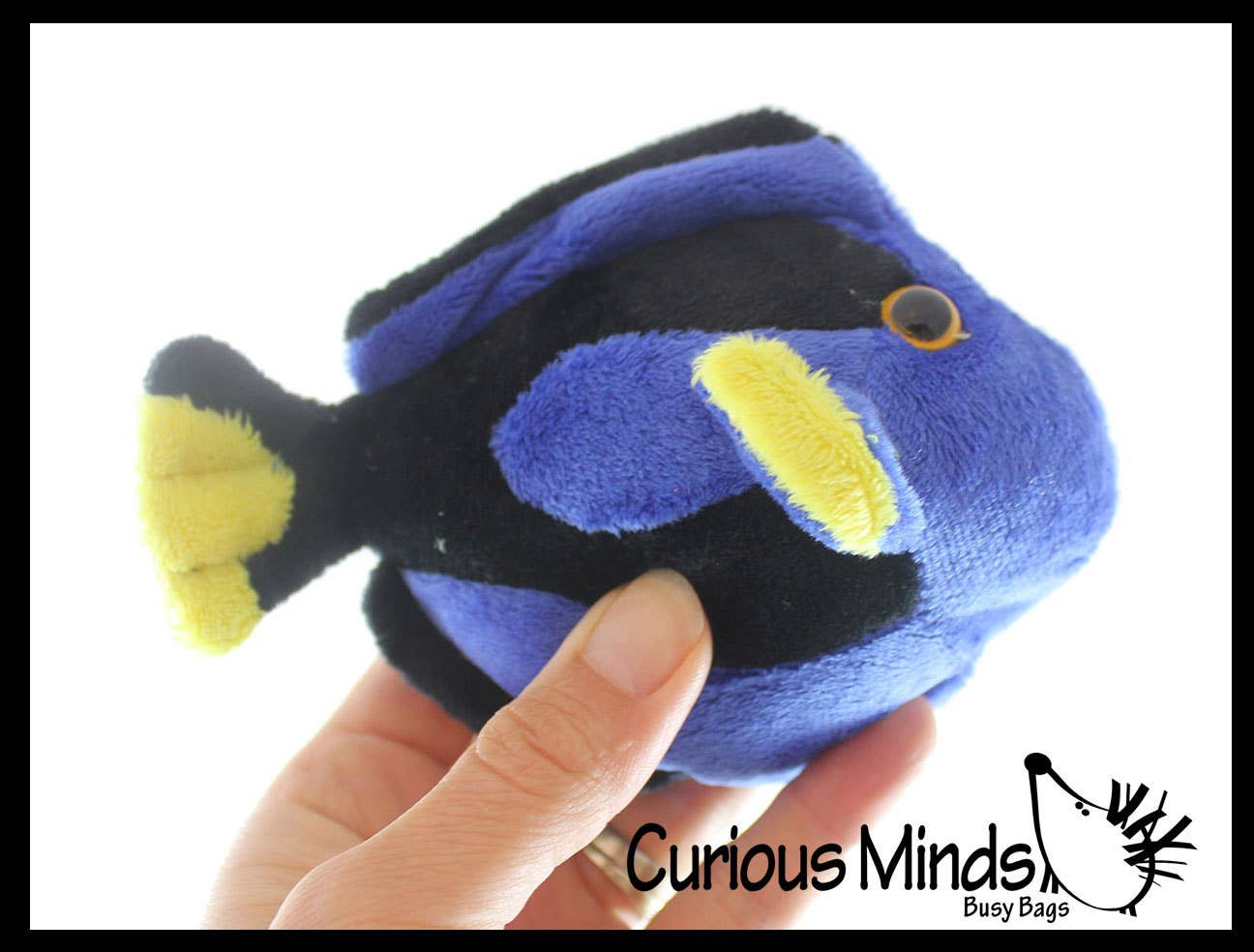 Curious Minds Toys - Wholesale Stuffed/Plush Toy - Kids & Baby - 1 Cute Blue Tang Fish Plush Stuffed Animals- Adorable Mini P2
