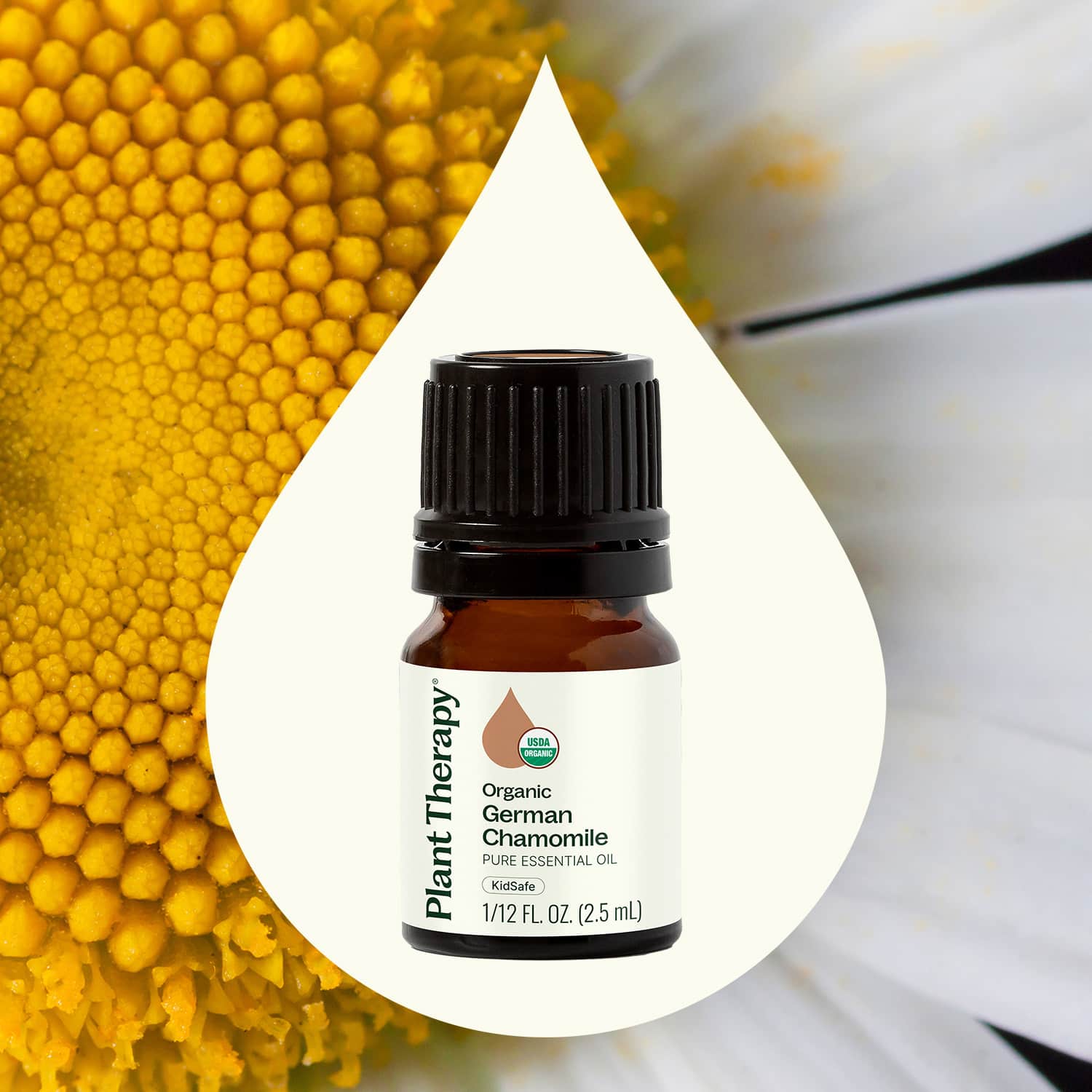 Plant Therapy - Wholesale Essential Oil - Organic German Chamomile Essential Oil 2.5 mL1