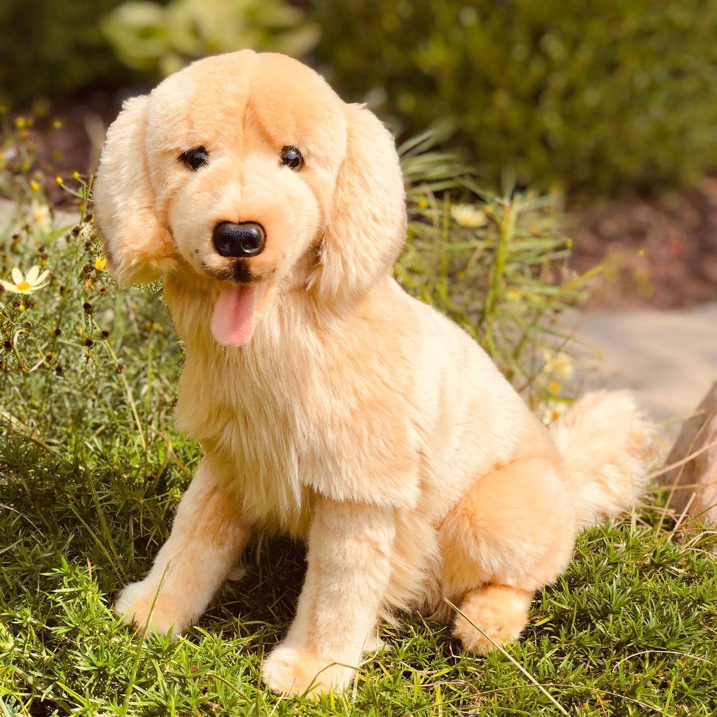 Auswella - Wholesale Stuffed/Plush Toy - Kids & Baby - Charlie Golden Retriever1