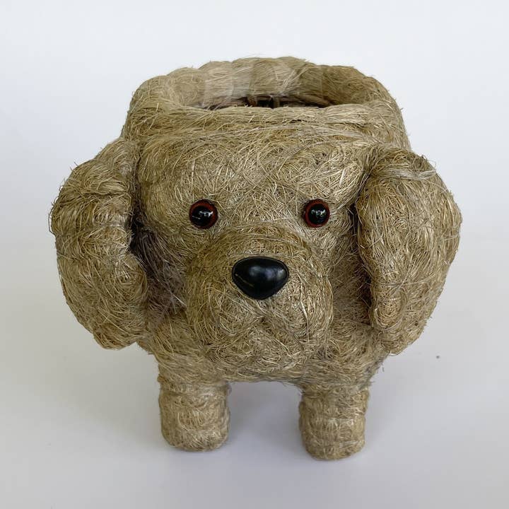 Weimaramer por atacado de yumi