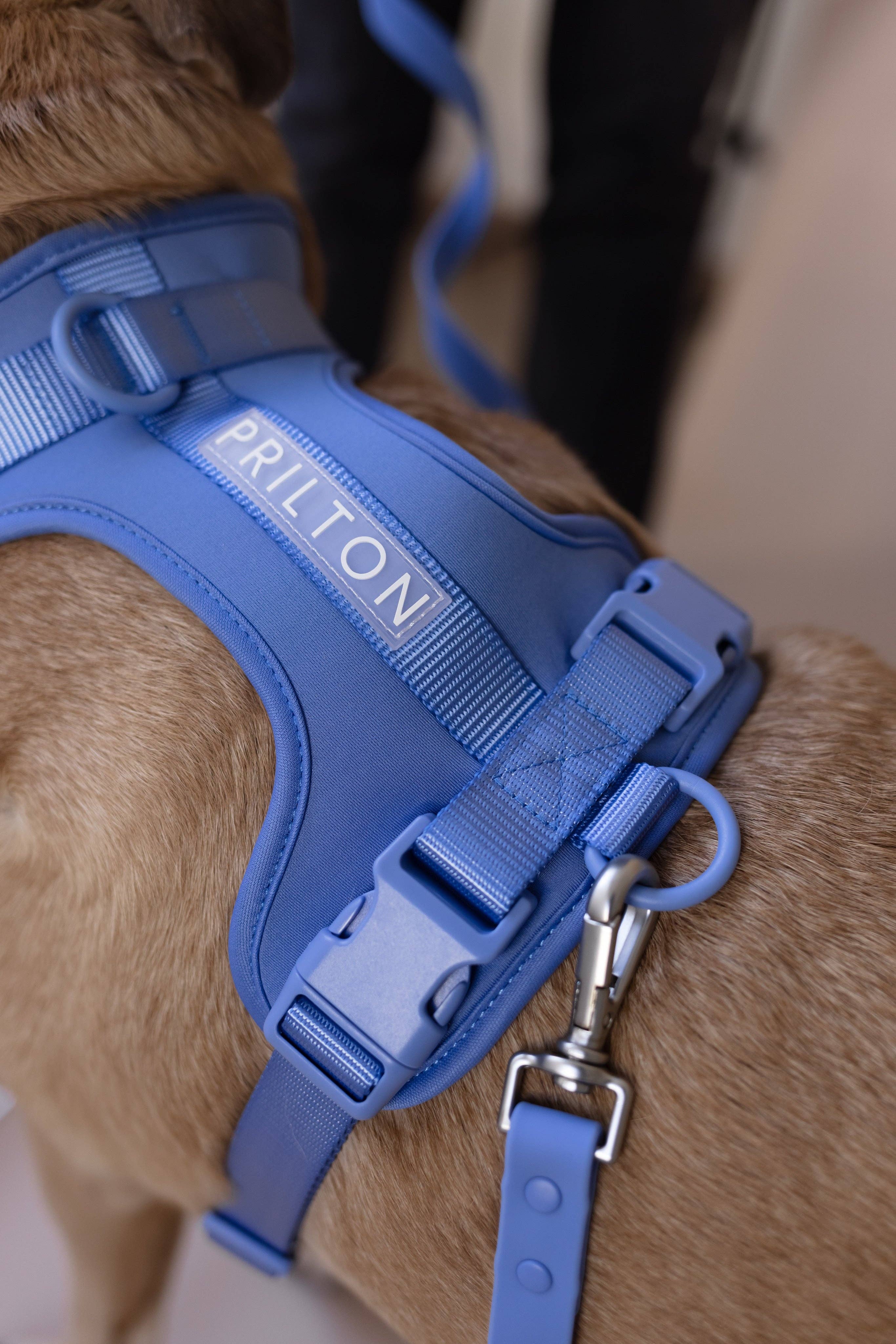 PRILTON - Venta al por mayor Arnés - Perros - Arnés en H azul3