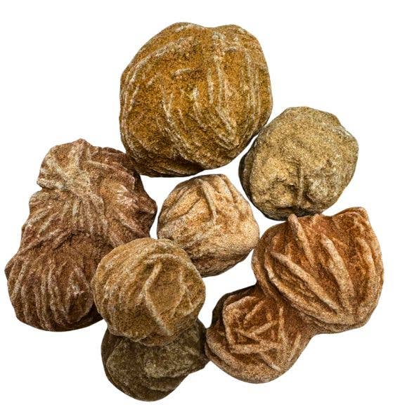 Crystal Magick Wholesale Ltd - Wholesale Spirituele steen/kristal - Woestijnroos Bol Exemplaar0