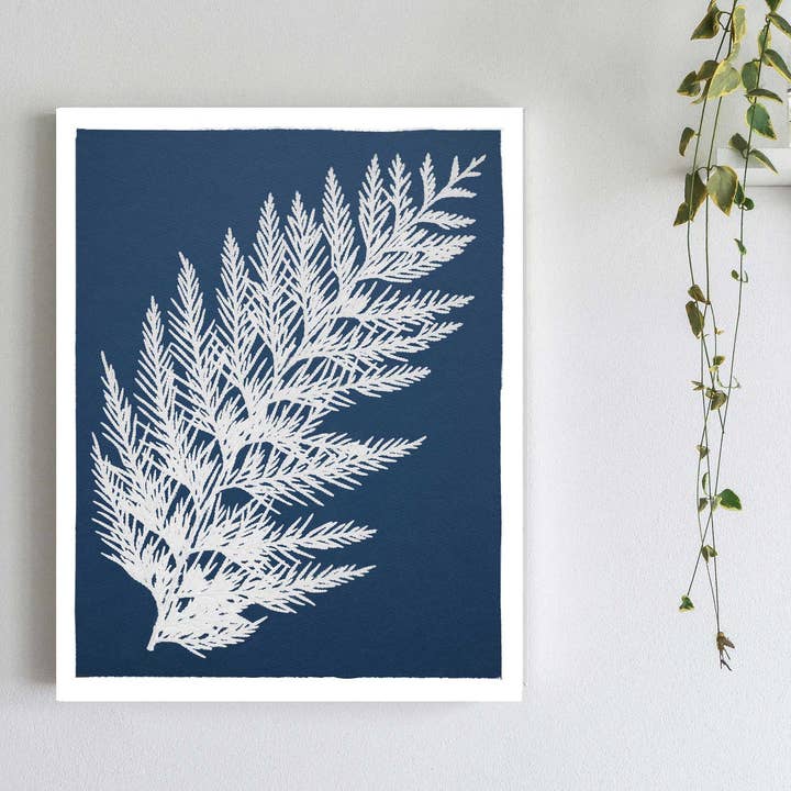Cedar Cyanotype Print for wholesale by Little Green Herbaria