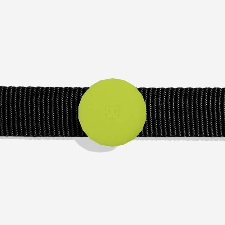 Hundog - Official zee.dog distributor - Wholesale Pet Collar - Dog - Lime Airtag Holder1
