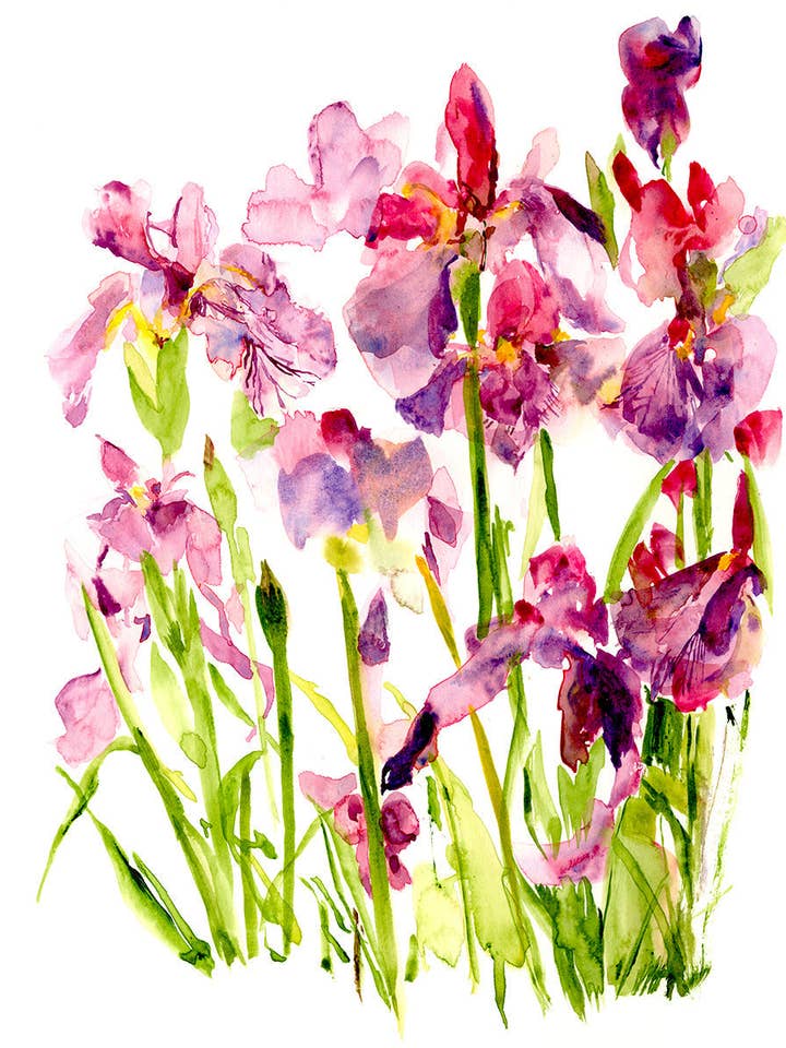 Impression artistique au format A4 avec iris violet pour la vente par Ping He Art