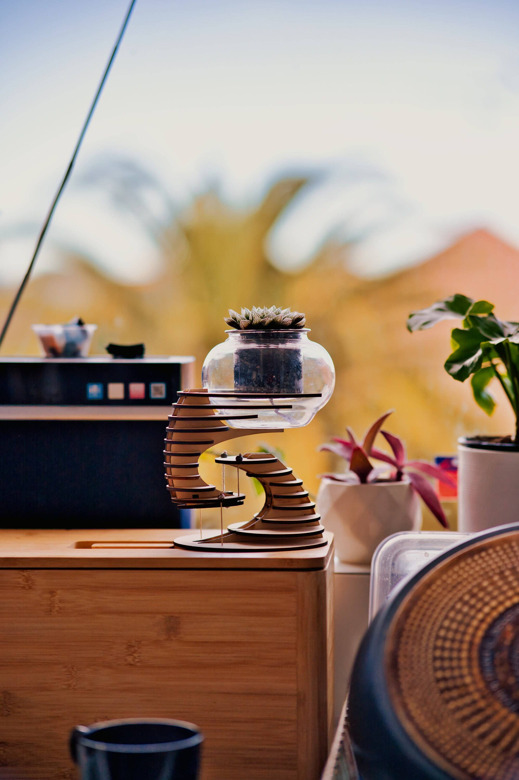 Polygon Jungle – Großhandel Bastelset – Plant-A-Float - Schwimmender Pflanzenständer aus Holz Bastelset1