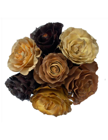 Florasource - Wholesale Fresh Cut Flowers - Macchiato ASSORTED Tinted Roses 100 Stems 50cm0