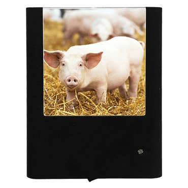 Maiale per la vendita all'ingrosso da parte di Nightlight Studio