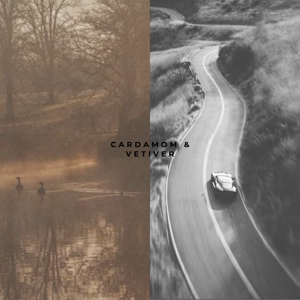 Ironwood Candle Co. - Wholesale Jar/Filled Candle - CARDAMOM & VETIVER SOY CANDLES2