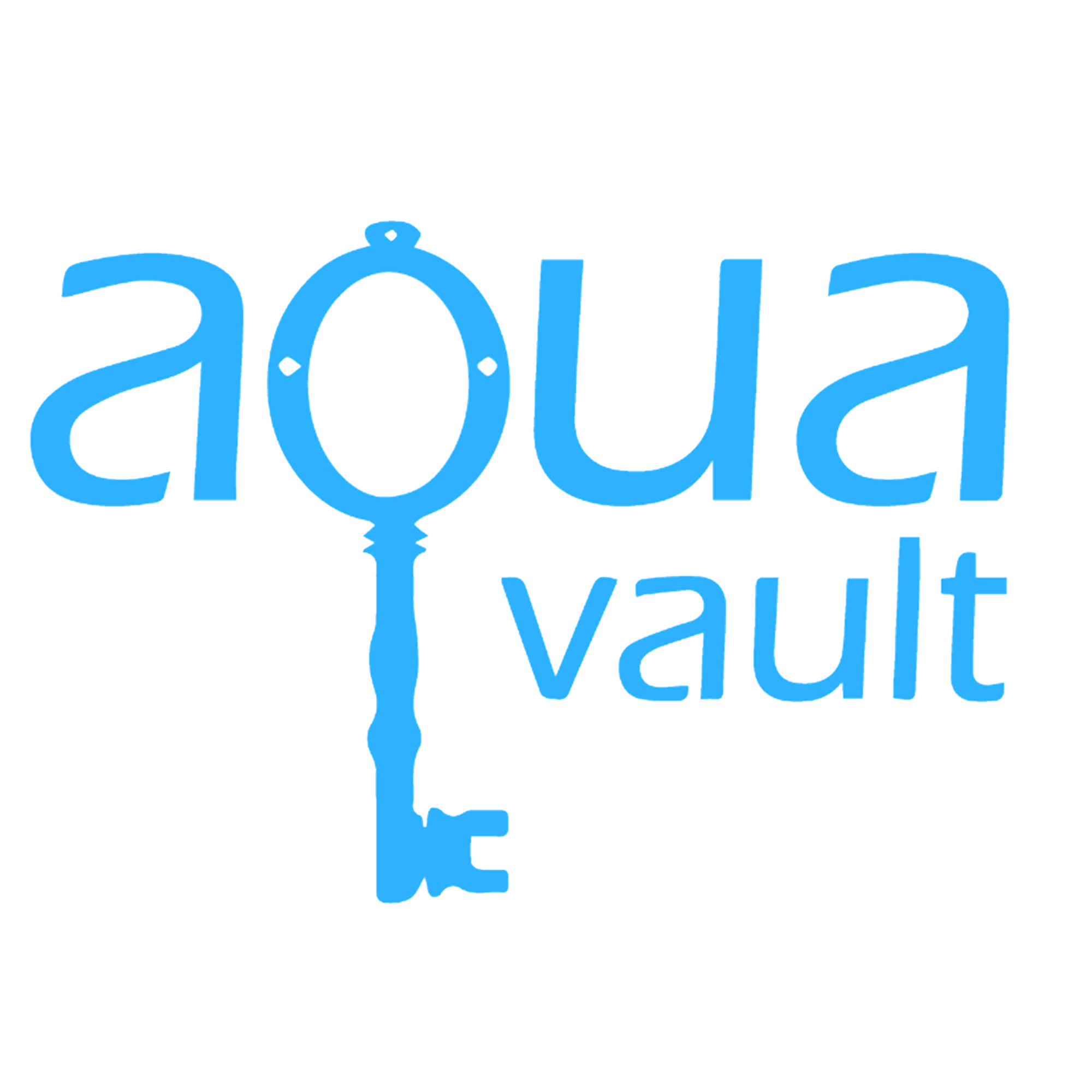 FlexSafe - The Portable Personal Safe – AquaVault Inc.