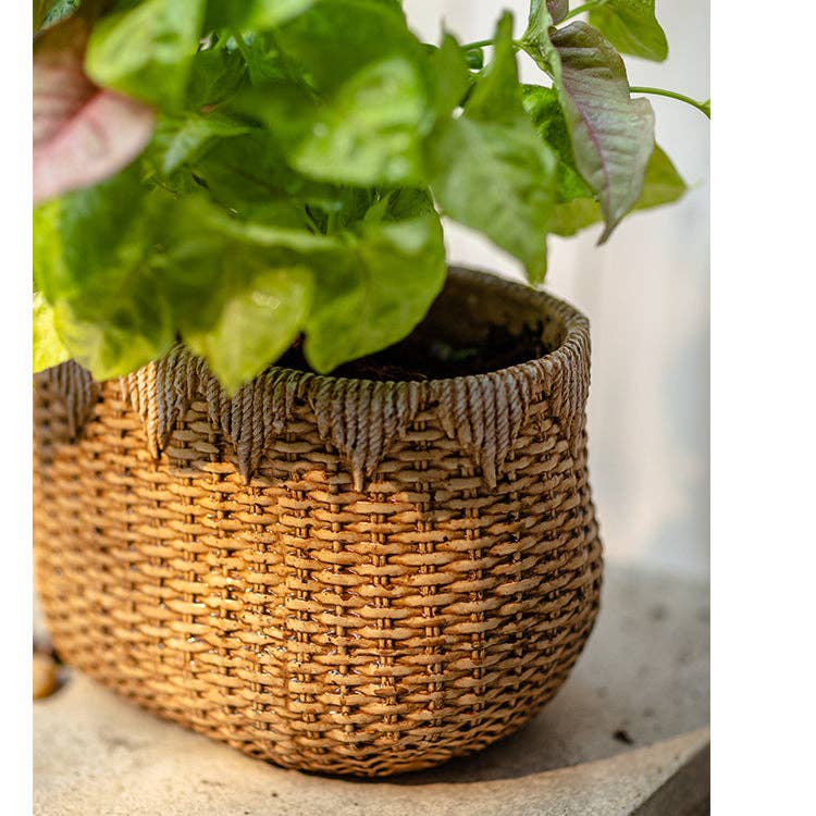 Rustic Reach - Vente Pot - Jardinière en ciment Lady Straw Basket8