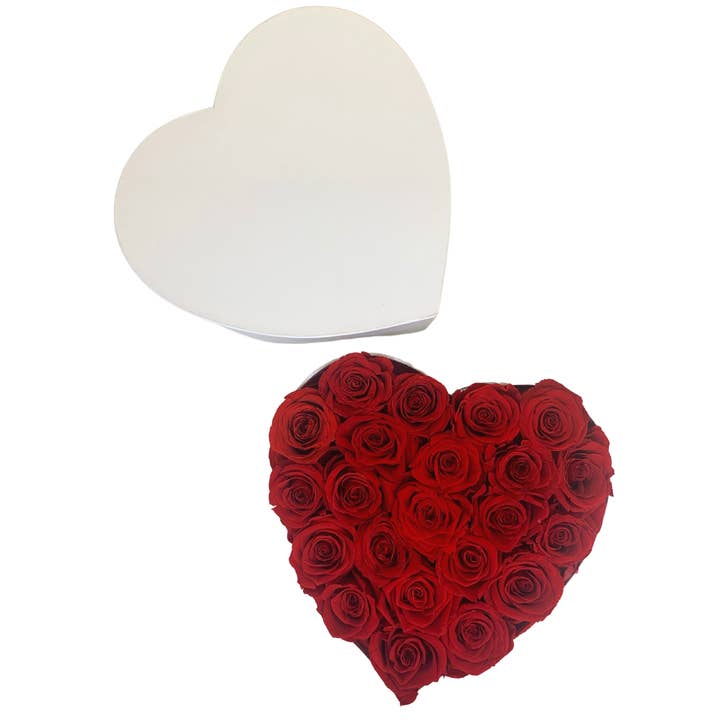 verona home and gift - Wholesale Dried/Pressed Flowers - Heart Shape Real Preserved Roses that Last Forever 10