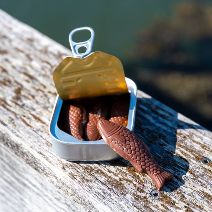 Bixby Chocolate - Wholesale Chocolate - Milk Chocolate Sardines 5