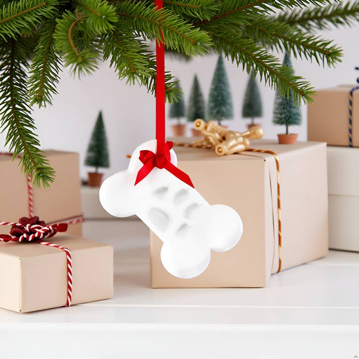 Kate & Milo - Wholesale Ornament - Holiday Pet Paw Print Bone Ornament Kit4
