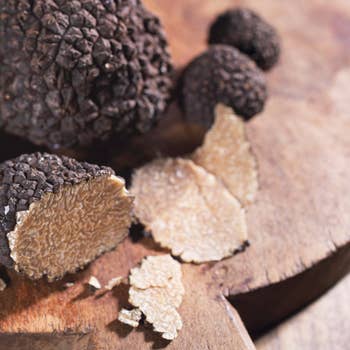 Lamelles de truffe noire d'hiver ou brumale séchée de Provence