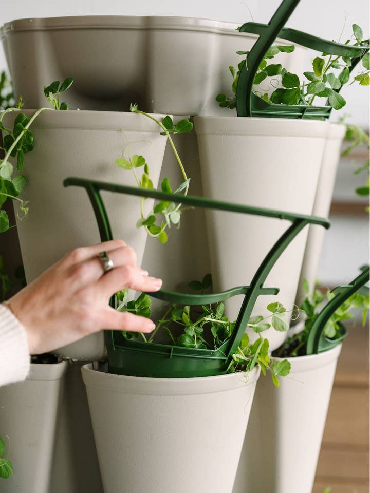 GreenStalk Treillis - Ensemble de 3 pour la vente par GreenStalk Garden