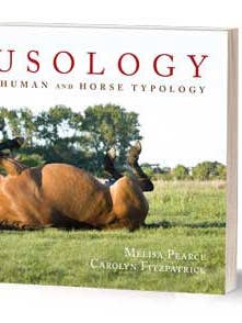 Equusology for wholesale by Touched By A Horse