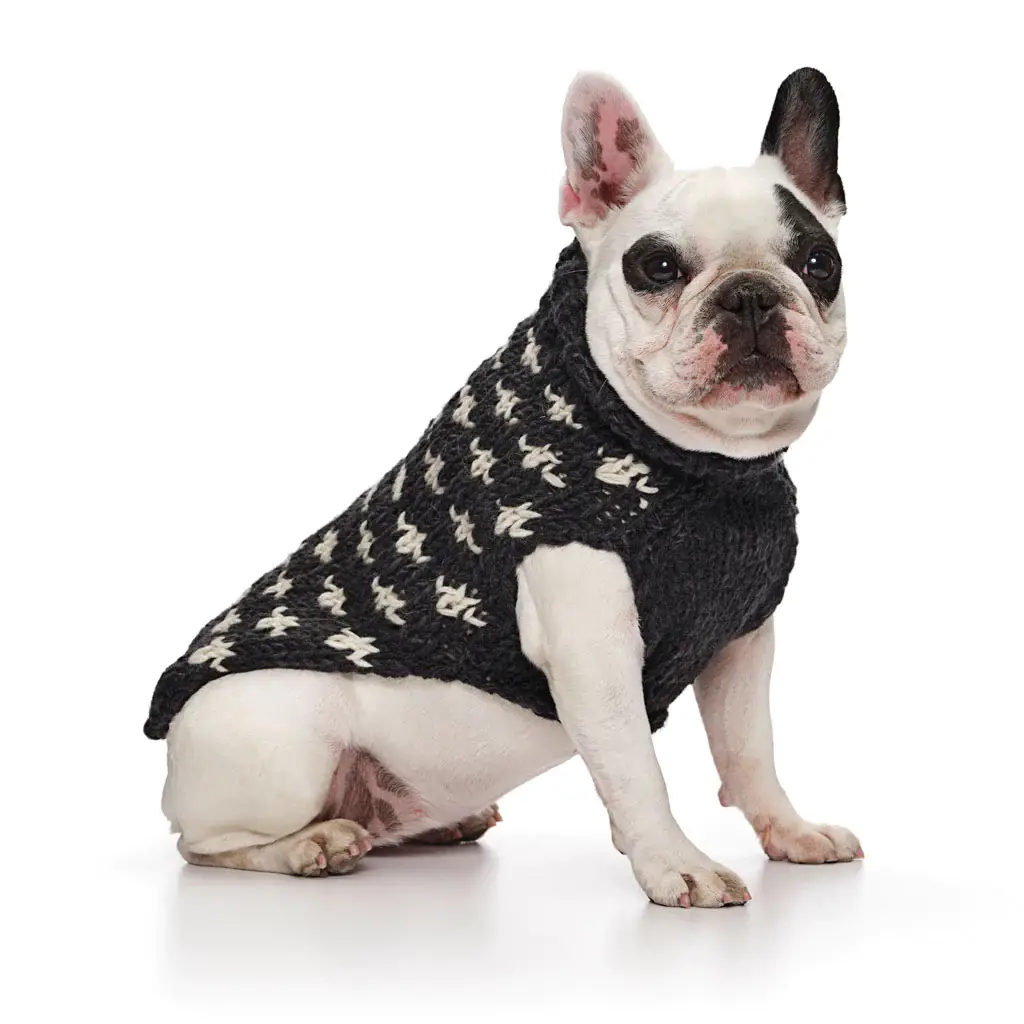 LoveThyBeast - Wholesale Pet Sweater - Dog - Cross Knit Sweater - Grey1