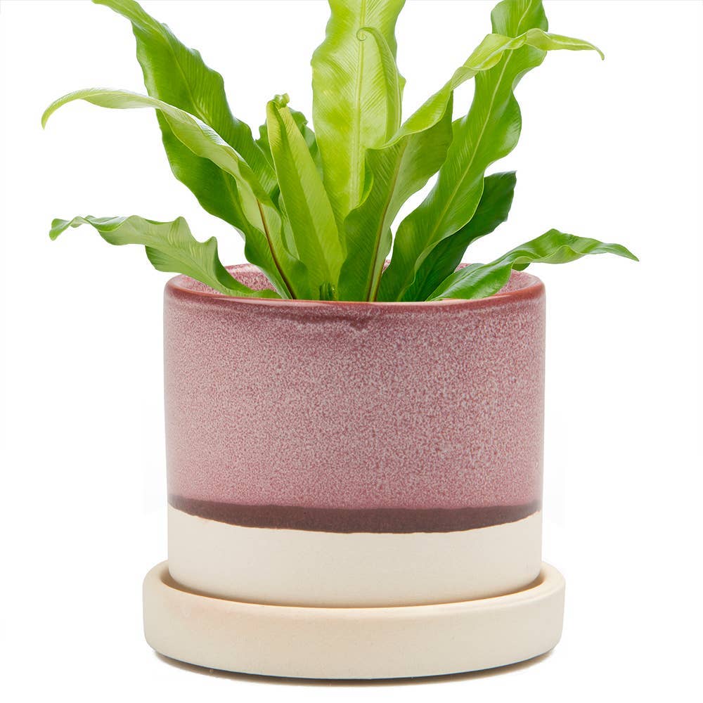 Chive UK - Wholesale Plant Pot - Minute - Glazed Modern Ceramic Pot with Saucer1