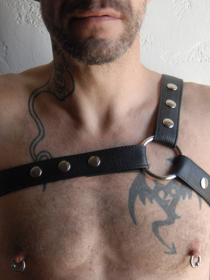 L'imbracatura del Campione per la vendita all'ingrosso da parte di The Stockroom